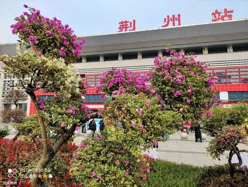 佛山到荊州空運物流公司-佛山至荊州物流貨運專線海陸空運輸一體化服務(wù)